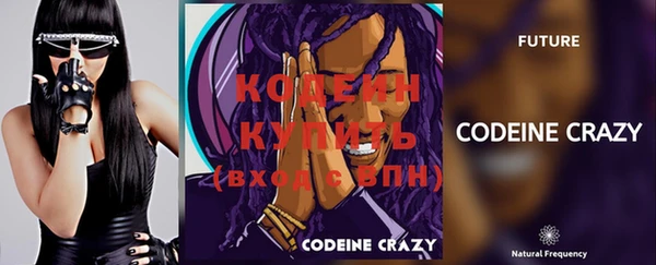 эйфоретик Няндома
