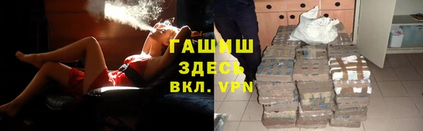 эйфоретик Няндома