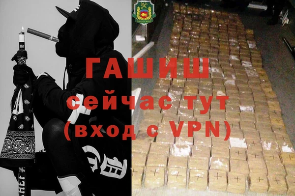 эйфоретик Няндома