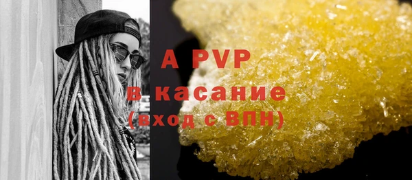 эйфоретик Няндома