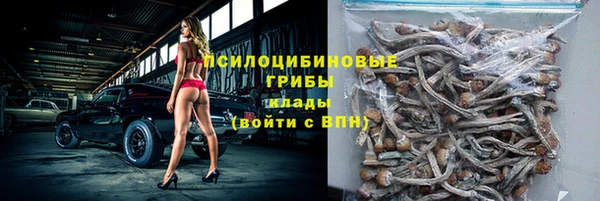 альфа пвп Нязепетровск