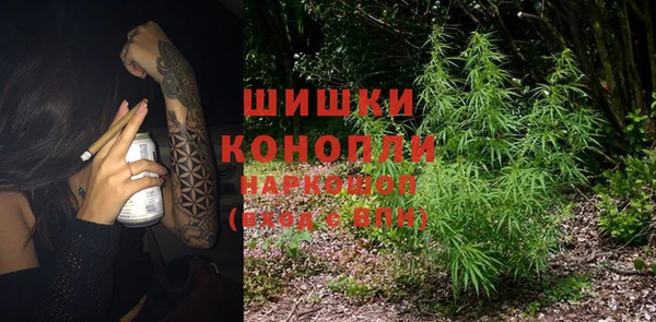 эйфоретик Няндома