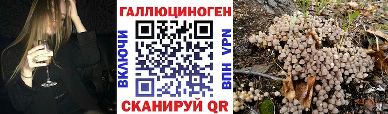 Псилоцибиновые грибы прущие грибы  Иноземцево 